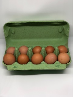 Freiland Eier 10 Stück