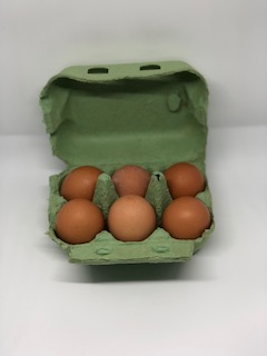 Freiland Eier 6 Stück